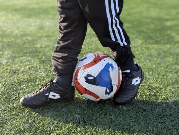 PXL_20250126_101514867.PORTRAIT